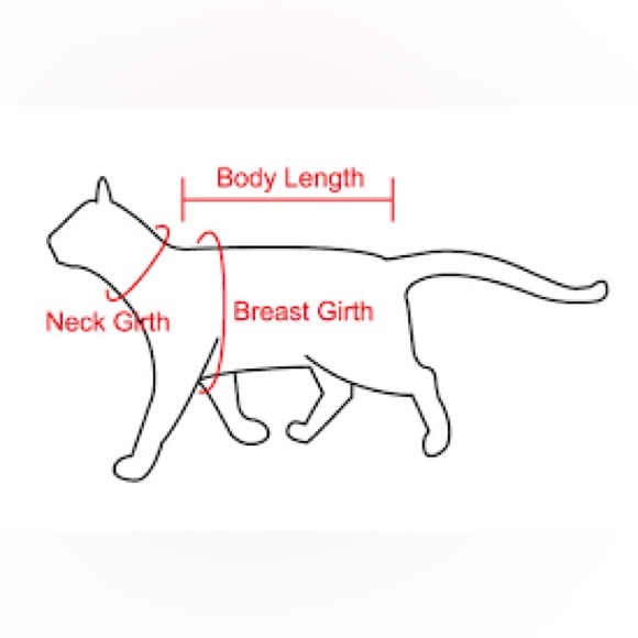 📏 Pet Measurement Guide 📏 - Picture 5 of 5